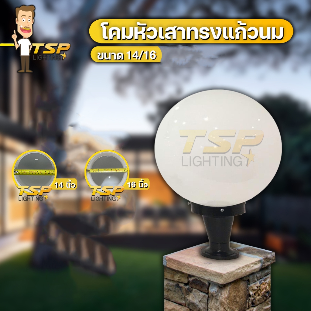 TSP Lighting │ โคมหัวเสาทรงแก้วนม 14'' 16''