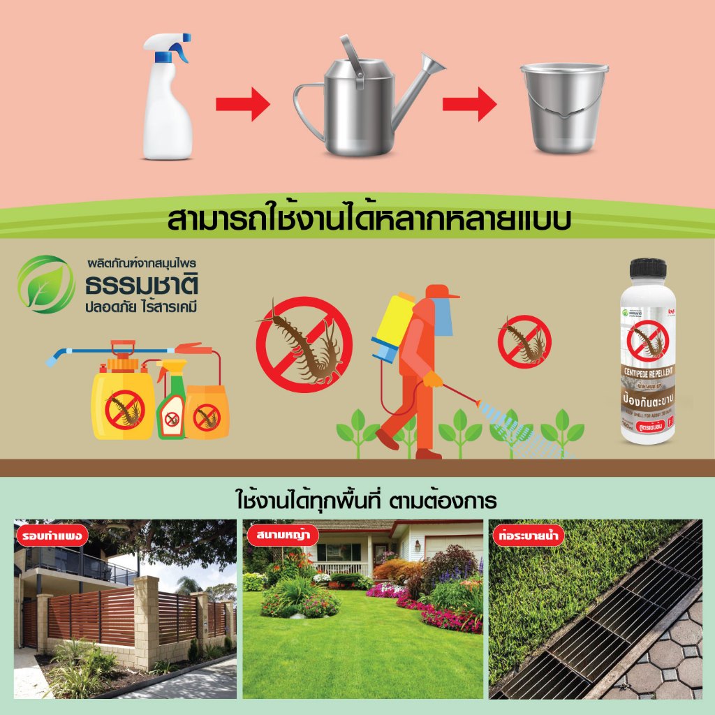 น้ำยาไล่ตะขาบ น้ำยาสมุนไพรป้องกันตะขาบ 100 ml rwcph10011210567 - รูปที่ 2