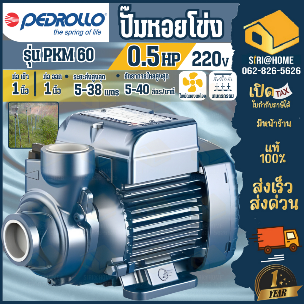 PEDROLLO ปั๊มหอยโข่ง รุ่น PKM 60 ขนาด 1 นิ้ว กำลัง0.5แรง ใบพัดทองเหลือง ปั๊มน้ำไฟฟ้า ปั๊มน้ำ หอยโข่ง1นิ้ว