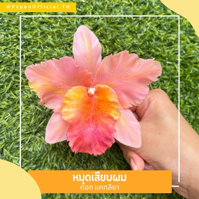 หมุดเสียบผม ดอกแคทลียา สายตาทุกคู่จงมองมา ใส่แล้วเป็นสาวงามที่สุด✨ ราคา ถูกที่สุด ดีลบีเคเค แกลเลอรีภาพที่ 3