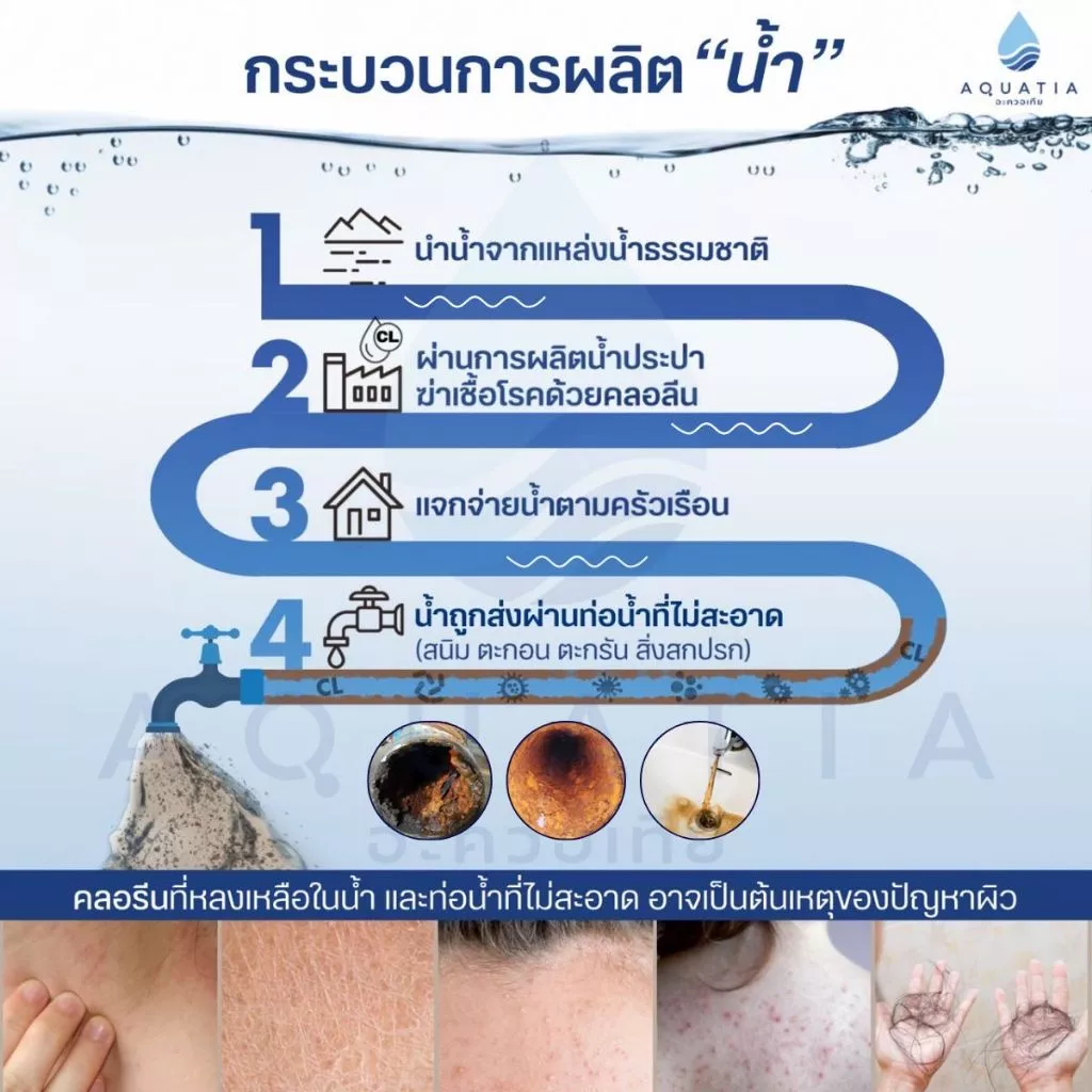 Aquatia ไส้กรองน้ำฝักบัว 2 ชั้น กรองคลอรีน แพ็ค 2 ชิ้น thumbnail 3