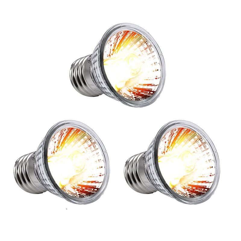 รูปภาพ 3