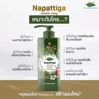 NAPATTIGA NATURAL SHAMPOO