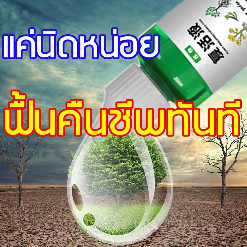 ไตรโคเดอร์มา เชื้อสด ชนิดน้ำ ยาเร่งราก กระตุ้นการแตกใบอ่อน บำรุงราก ต้นสมบูรณ์ rooter ผงเร่งราก