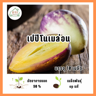 เมล็ดพันธุ์ เปปิโนเมล่อน บรรจุ 10 เมล็ด