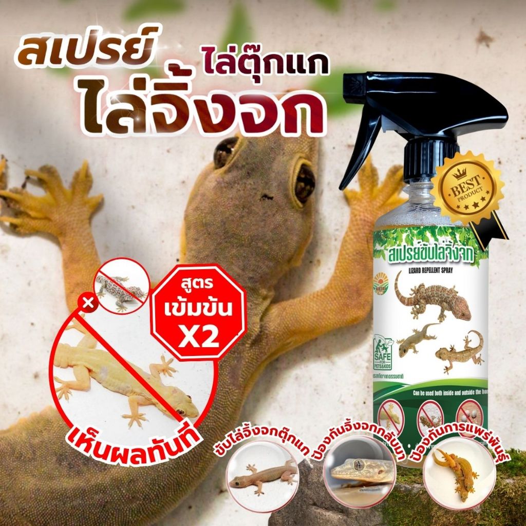 สเปรย์ไล่จิ้งจก ไล่จิ้งจก ป้องกันขี้จิ้งจก ป้องกันจิ้งจกผสมพันธุ์ในบ้าน