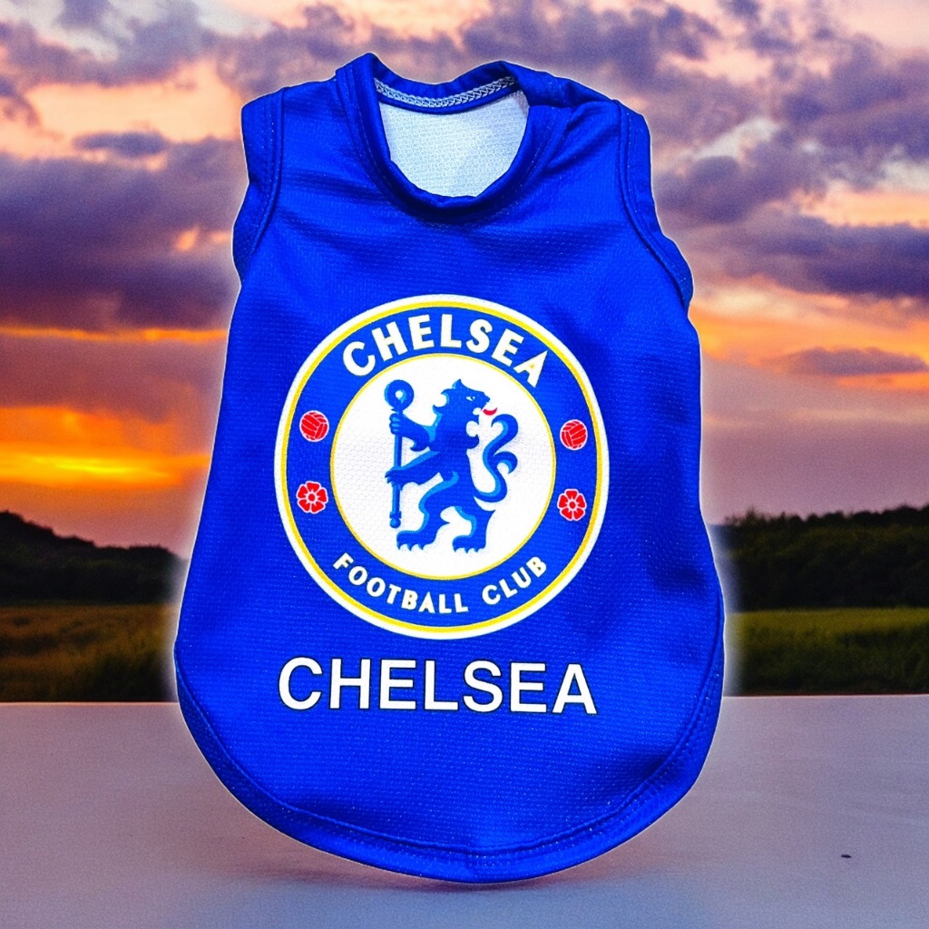 รูปภาพ 5