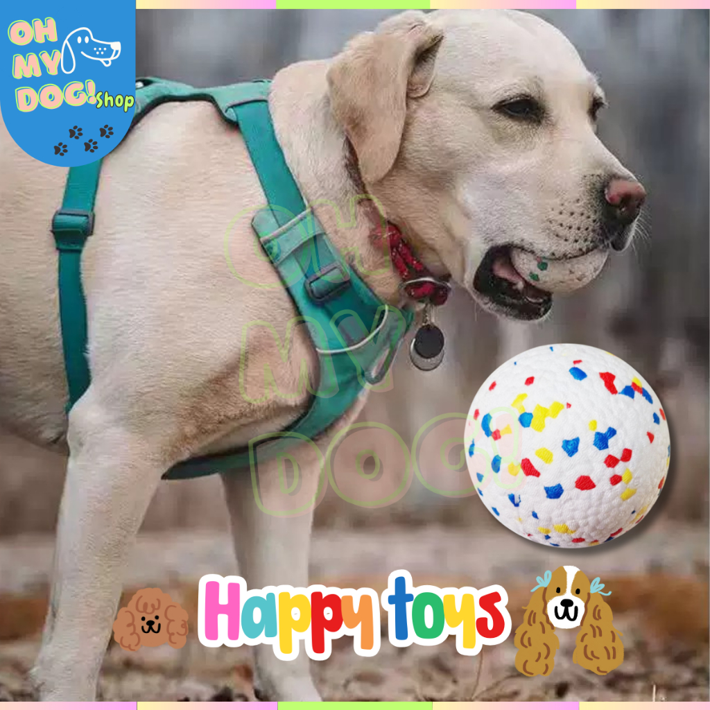 (พร้อมส่ง!!) BOUNCY BALL ลูกบอลสุนัข เด้งสูงมาก ของเล่นสุนัข ทนต่อการกัดแทะ Dog Toy Ball CleverPet