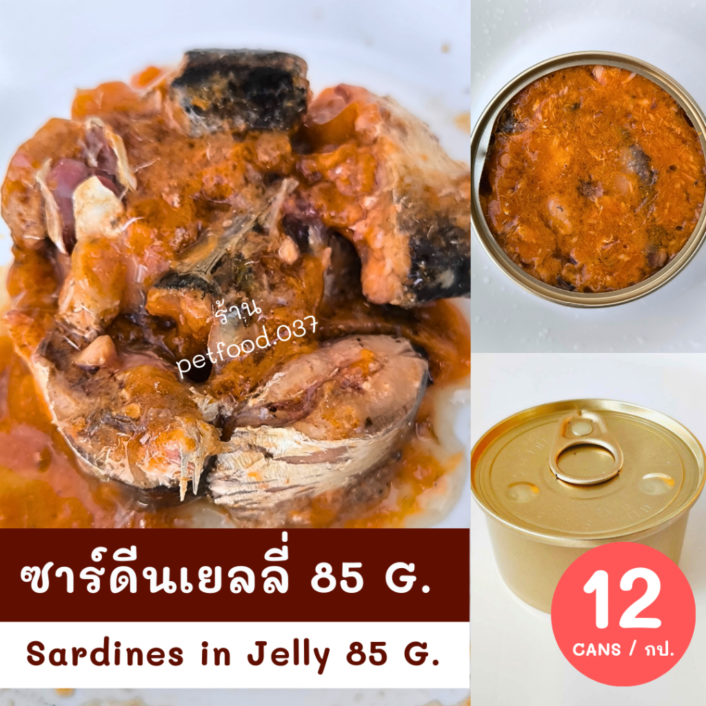 ซาร์ดีนเยลลี่ 85 กรัม 12 กระป๋อง อาหารเปียกแมว กระป๋องเปลือยเกรดส่งออกราคาประหยัด