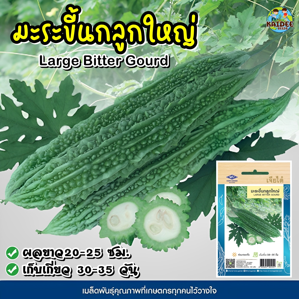 CTOP เมล็ดพันธุ์ มะระ ขี้นกลูกใหญ่ ประมาณ 12 เมล็ด ตราเจียไต๋ Bitter Gourd มะระขี้นก