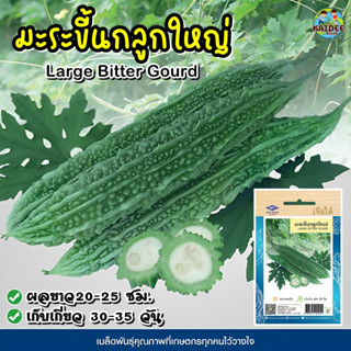 เมล็ดมะระขี้นกลูกใหญ่ ตราเจียไต๋ Large Bitter Gourd เมล็ดมะร…