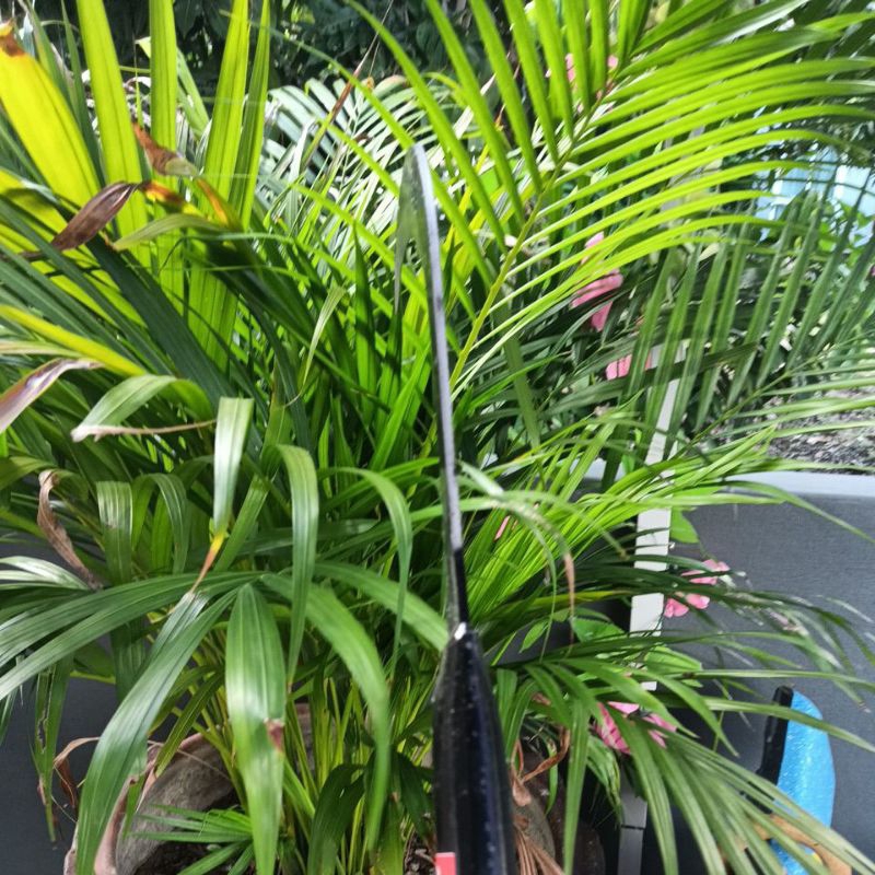 ขอเคียวถางหญ้า(รุ่นหนา 3มิล)ทำมาจากเหล็กSK5)ด้ามเหล็กยาวใบมีดคมพิเศษ - รูปที่ 4