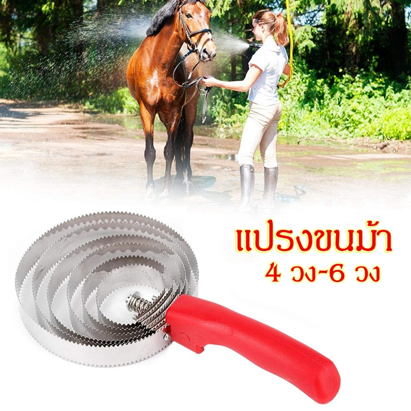 แปรงขนวัว แปรงเกาขนวัว แพะ แกะ ม้า 4 วง-6 วง สแตนเลส   กันคัน ผ่อนความเครียด ขูดขนวัวให้เงางาม วัวเชื่อง ผ่อนคลาย สุขภาพ