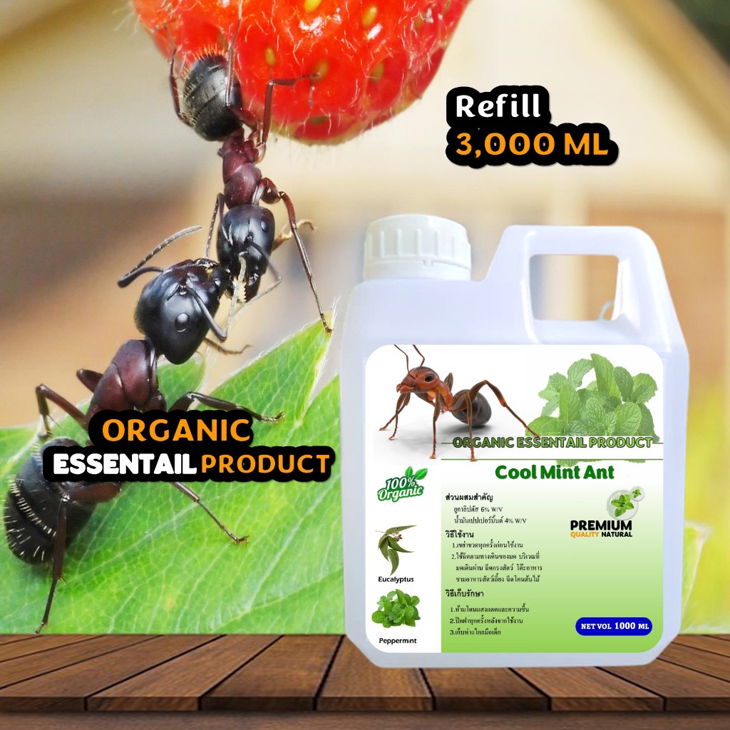 COOL MINT ANT สเปรย์สมุนไพรออแกนิคสูตรน้ำ ไล่มดทุกชนิด ปลอดภัยผู้ใช้และสัตว์เลี้ยง ใช้ได้กับทุกพื้นที่