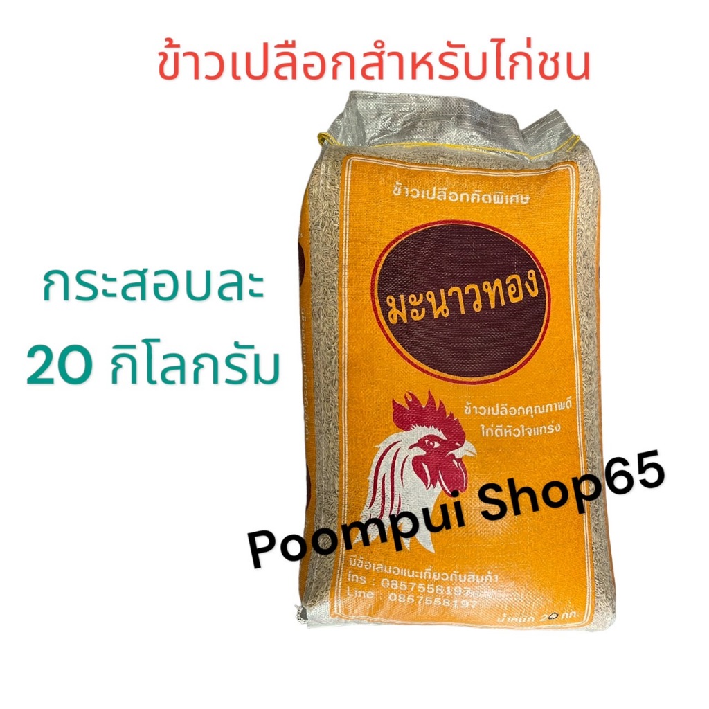 ข้าวเปลือกสำหรับไก่ชน กระสอบละ 20 กิโลกรัม