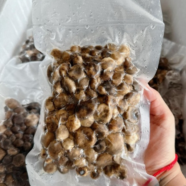 พร้อมส่ง 250g เห็ดเผาะคัดอ่อน เห็ดถอบ (ต้มสุก) มีลด50%ในไลฟ์