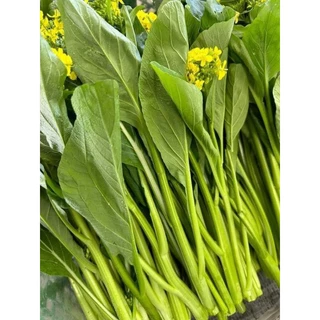 เมล็ดพันธุ์กวางตุ้งดอก1,500 เมล็ด 19 บาท