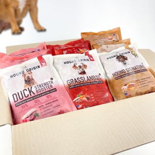 Hound Origin Dog BARF - Body Set (เซ็ตตัวแน่นกล้ามฟิต) X 10 …