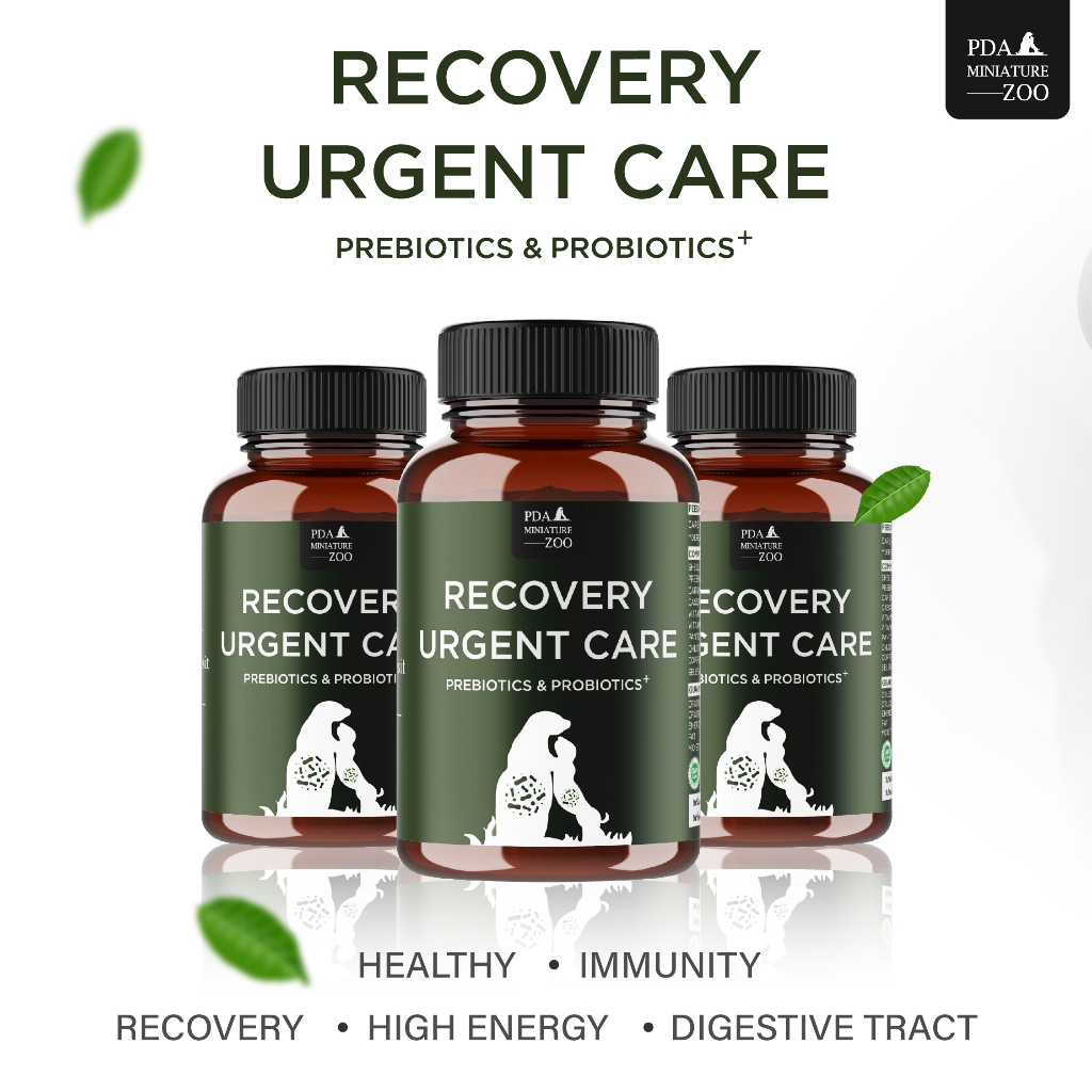 Recovery Urgent Care อาหารเสริมแพรี่ด็อก เพิ่มน้ำหนัก บำรุงขน เสริมภูมิคุ้มกัน