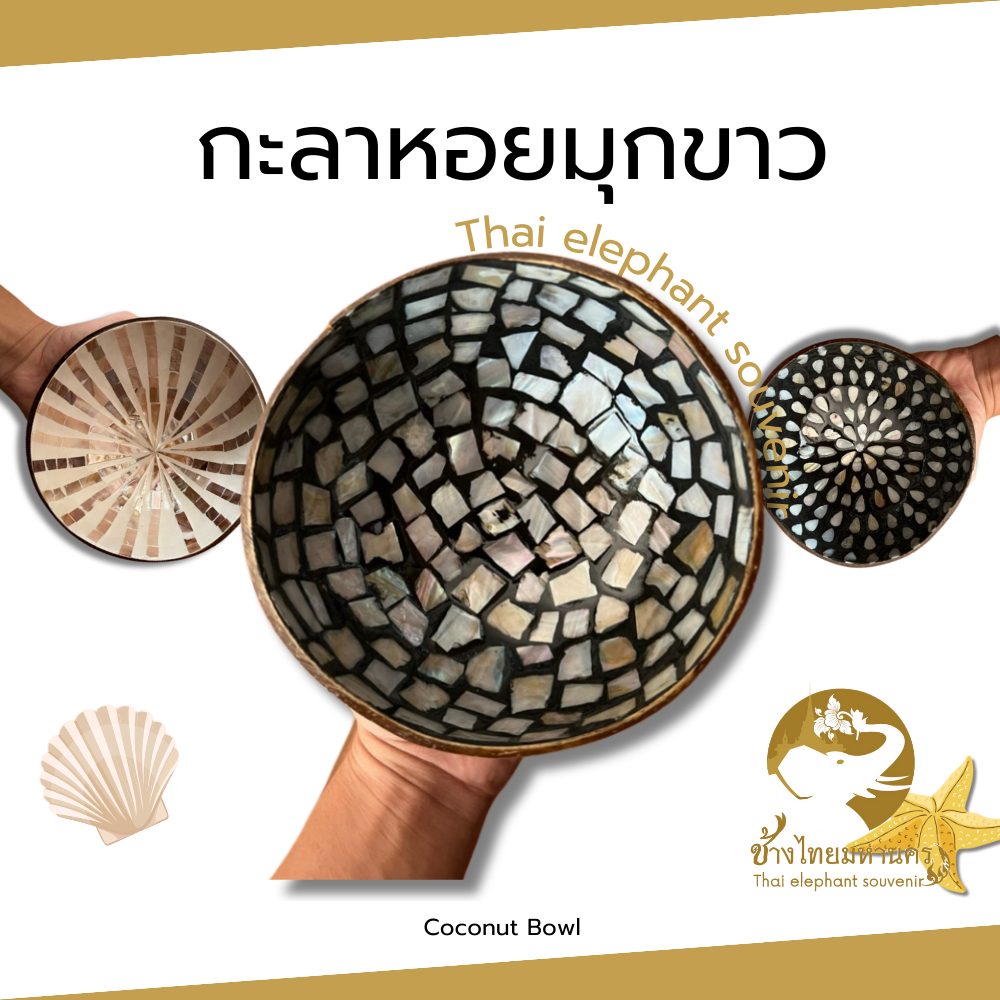 กะลา Coconut Bowl หอยมุกขาว