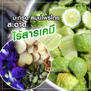 สูตรโบราณไร้สารเคมี มะกรูดสมุนไพรสด ORGANIC 500ml ลดคัน แชมพูลดผมร่วง ลดรังแค หมักผม นวดผม,ของขวัญวันแม่
