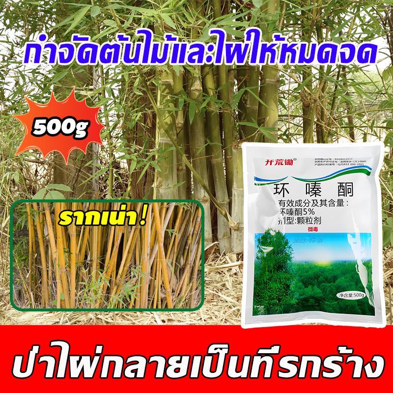 ตรงไปที่ราก!! ยากำจัดต้นไม้ สารกำจัดกอไผ่ ผงกำจัดต้นไผ่ ยาฆ่าตอไม้ 500g สูตรเข้มข้น กำจัดวัชพืชรากเน่า ผลติดทนนาน ไม่เป็