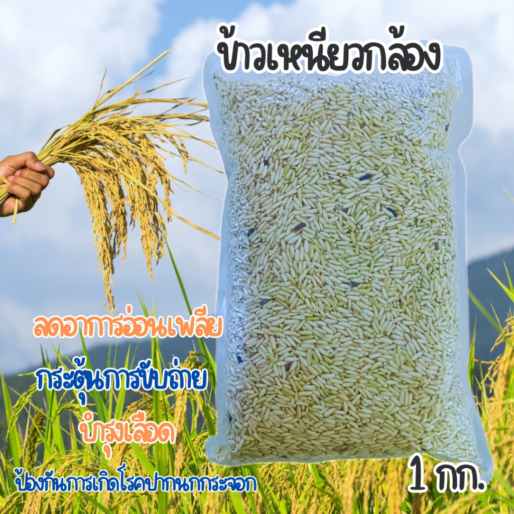 ข้าวเหนียวกล้อง 1 กก. มีประโยชน์ต่อร่ายกายและให้คุณค่าทางโภชนาการสูง