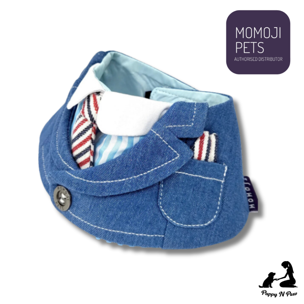Momoji Wellington Cerulean Denim Blue Pet Bib ชุดสุนัข ชุดแมว
