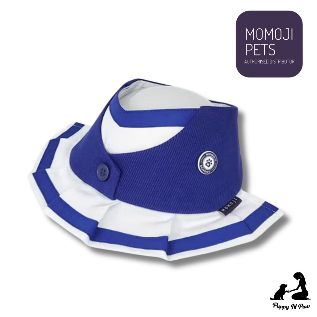 Momoji Dionysis Girls Azure Blue Pet Bib ชุดสุนัข ชุดแมว