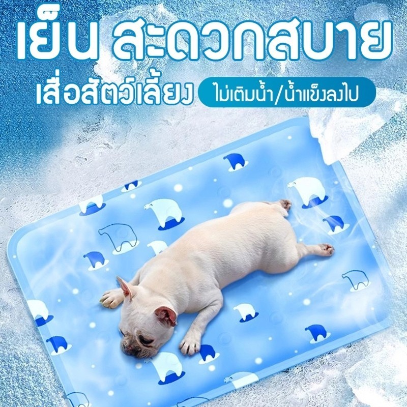 พร้อมส่ง แผ่นเจลเย็น ที่นอนเย็น แผ่นเย็นแมว เบาะเย็นแมว เจลเย็นหมา แผ่นเย็นหมา ที่นอนแมว ที่นอนหมา Pet Cool Mat