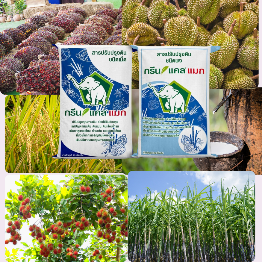 กรีนแคลแมก ชนิดผง ยิปซัม + ธาตุอาหารแมกนีเซียม ขนาด 25 kg ของแท้