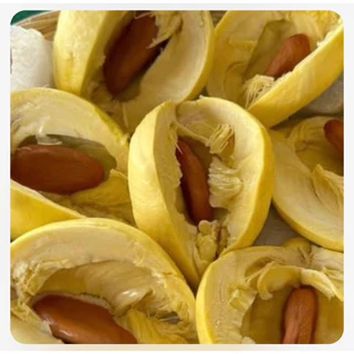 ทุเรียนภูเขาไฟจิ๋ว ขนาดเล็กเน้นเนื้อไม้เน้นทรง 1-3ลูก