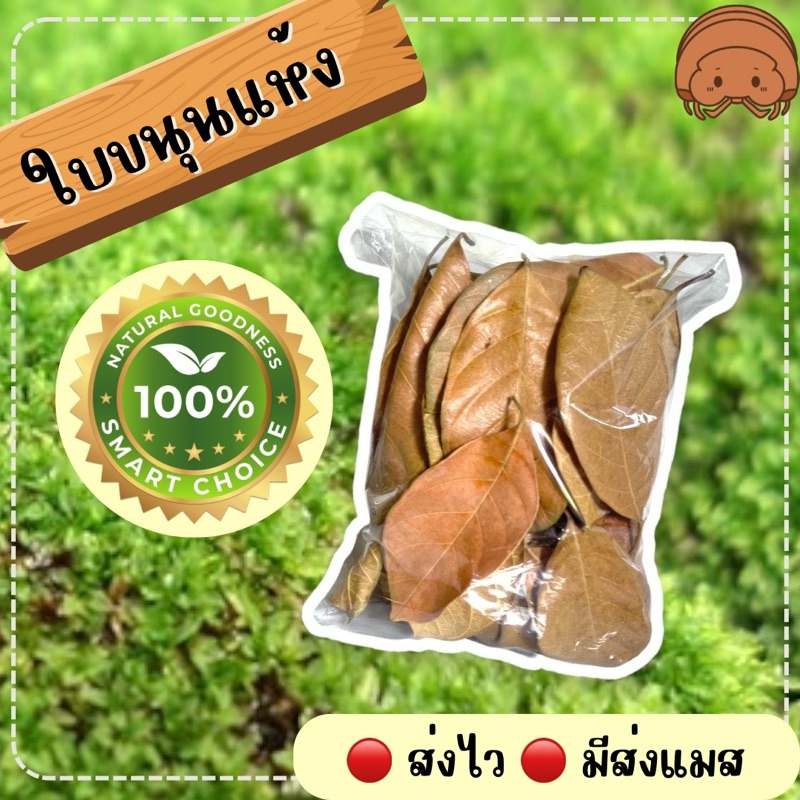 ใบขนุนแห้ง ปลอดสาร อาหารไอโซพอด Isopod บรรจุ 25ใบ 50ใบ
