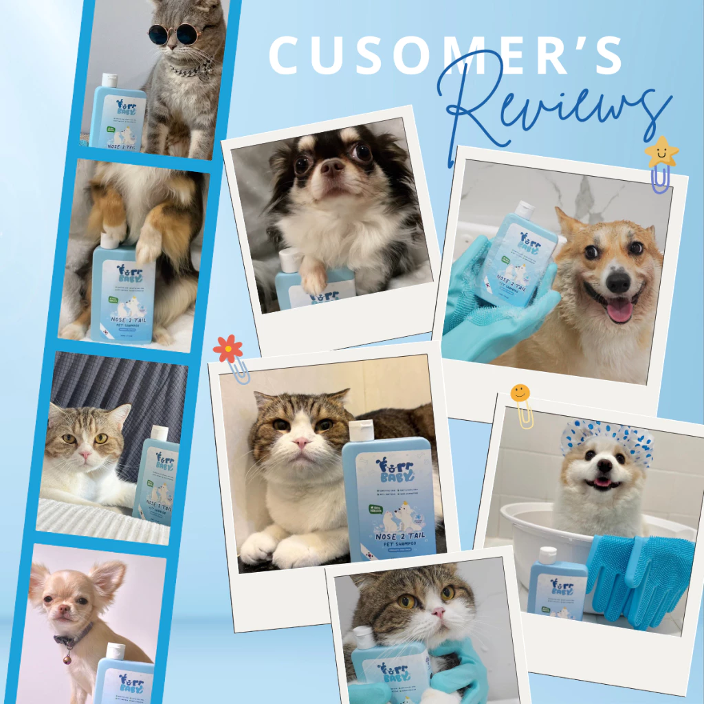 [สินค้าขายดี] FurrBaby Nose2Tail Pet Shampoo แชมพูหมาแมว สูตรอ่อนโยน กลิ่นหอมติดทน ลดขนร่วง (สูตรผิวแพ้ง่ายใช้ได้) thumbnail 7
