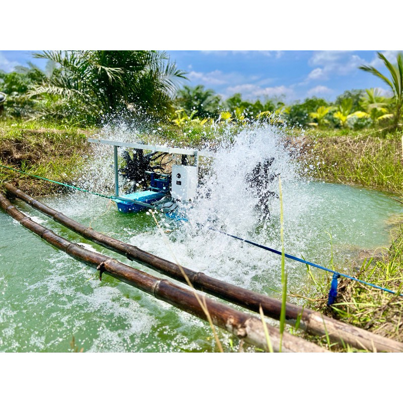 กังหันตีน้ำโซล่าเซลล์ ครบชุดพร้อมใช้งาน รุ่น24/500w 4ใบพัด แผง390W มอเตอร์บัสเลสแท้  เครื่องบำบัดน้ำ