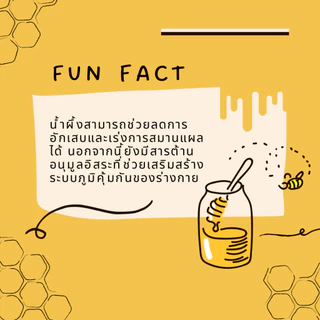 น้ำผึ้ง THAI HONEY น้ำผึ้งแท้ 100% ขนาด 1000 กรัม (ขวดทรงกระบอก)