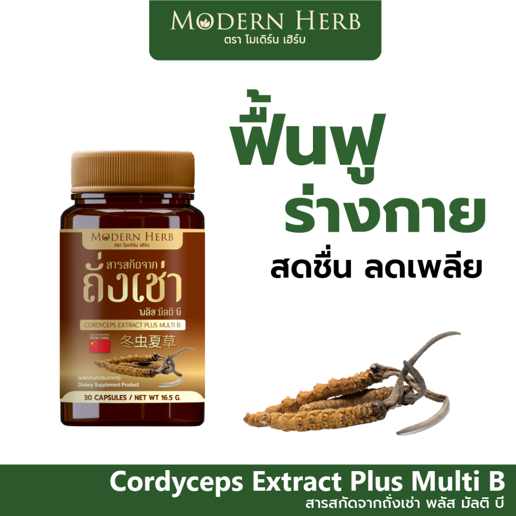 Modern Herb Cordyceps Multi B ถั่งเช่าสกัด ผสมวิตามิน ฟื้นฟูร่างกาย ลดเพลีย เสริมสมรรถภาพทางเพศ