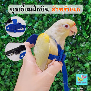 ชุดเอี๊ยมฝึกบิน พร้อมสาย สายจูงนก เชือกจูงนก ปรับขนาดได้