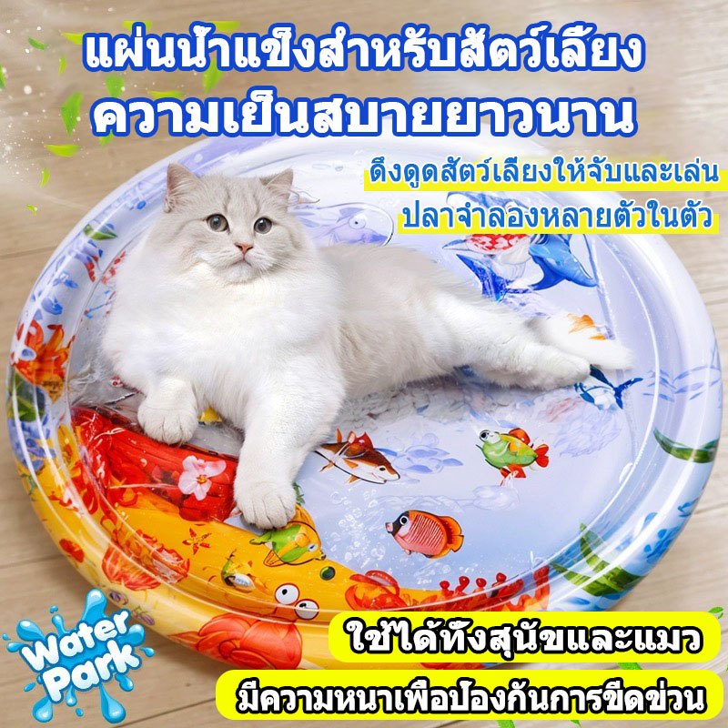 เสื่อน้ำเด็ก Pet water mat เบาะน้ำเด็ก เสื่อเด็ก เบาะพองลม เสื่อเล่นน้ำทารกเป่าลม เสื่อน้ํา เบาะน้ำของเล่น