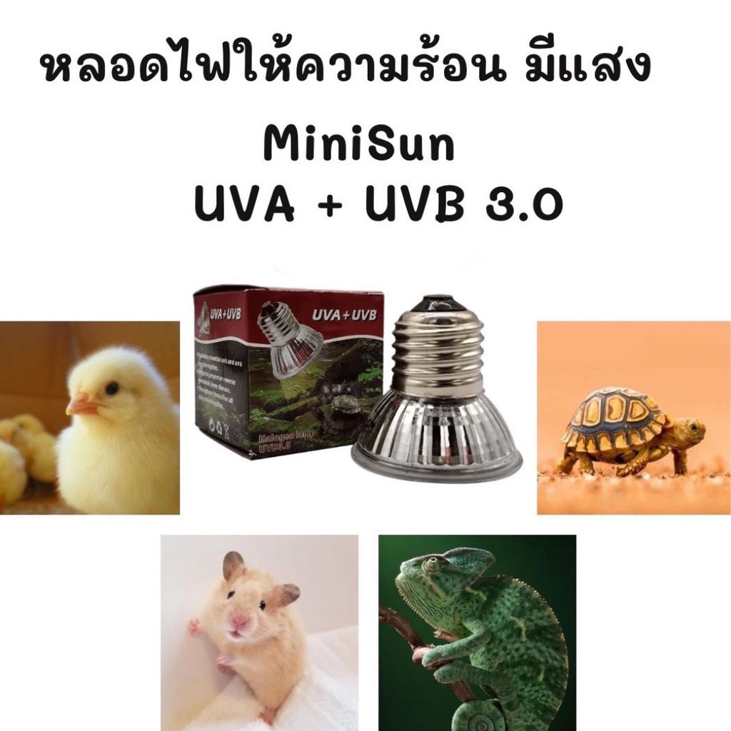 25/50/75W UVA + UVB 3.0สัตว์เลื้อยคลานา Basking UV หลอดไฟความร้อน amphibians