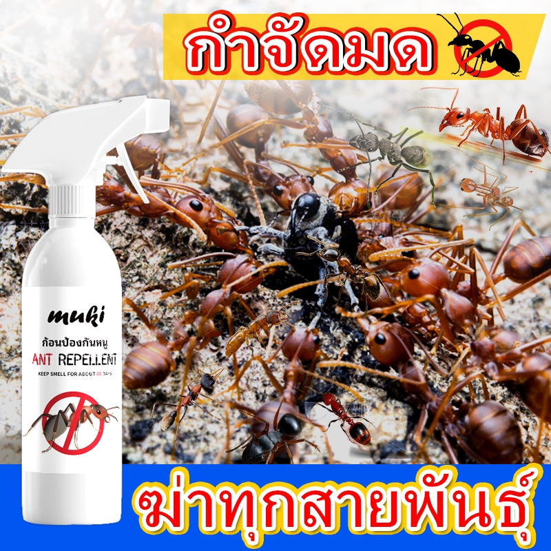ใช้ยา1ครั้ง ตายยกรัง muki กําจัดมด ของแท้ เห็นผลรวดเร็ว ยาฉีดมด ยากําจัดมด กําจัดปลวก ant bait ยาฆ่ามด เจลกําจัดมด เจลฆ