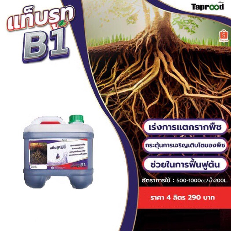 แท็บรูท B1 เร่งการแตกรากพืช 4L.