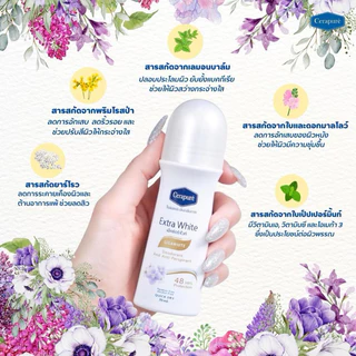 Cerapure โรลออน ระงับกลิ่นกาย ดับกลิ่นตัว