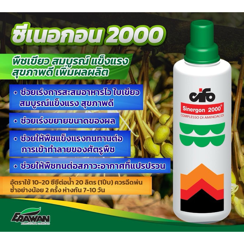 ซีเนอกอน 2000(ขนาด 1 กิโลกรัม ใช้ได้ 20 ไร่)จากอิตาลี ช่วยให้ข้าวใบเขียวเข้ม ต้นใหญ่ แข็งแรง แตกกอไว