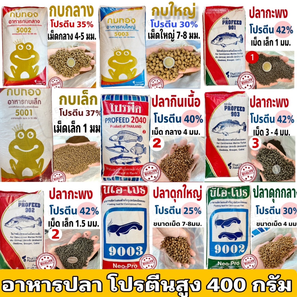 ทางเลือก ปลาคาร์พ ปลาสวยงาม อาหาร ปลากินเนื้อ อาหารกบ สูตรโปรตีนสูง ขนาดทดลอง 400 กรัม