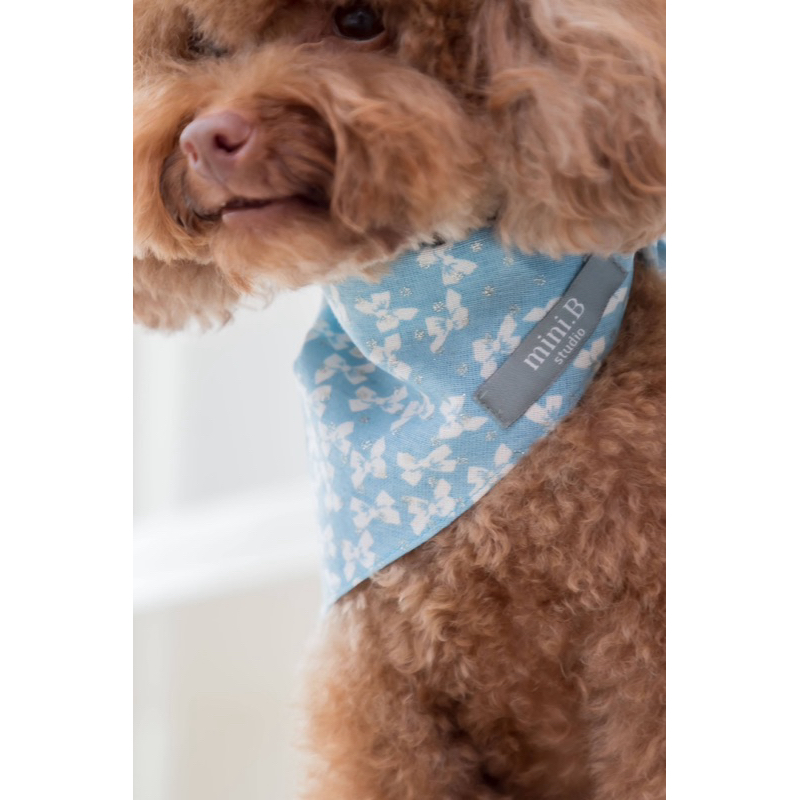 ผ้าพันคอ Furry Friend Scarf🐶 (ลาย Blue glitter ribbon💙)