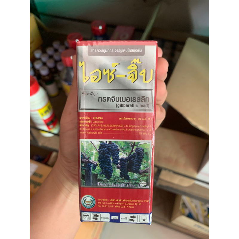 ไอซ์-จิ๊บ น้ำยายืดฝัก ยืดยาวช่อ ไอซ์-จิ๊บ100 ml. อาหารเสริมพืช ฮอร์โมนพืช ปุ๋ยน้ำ กรดจิบเบอร์เรลลิค แอซิด 2%