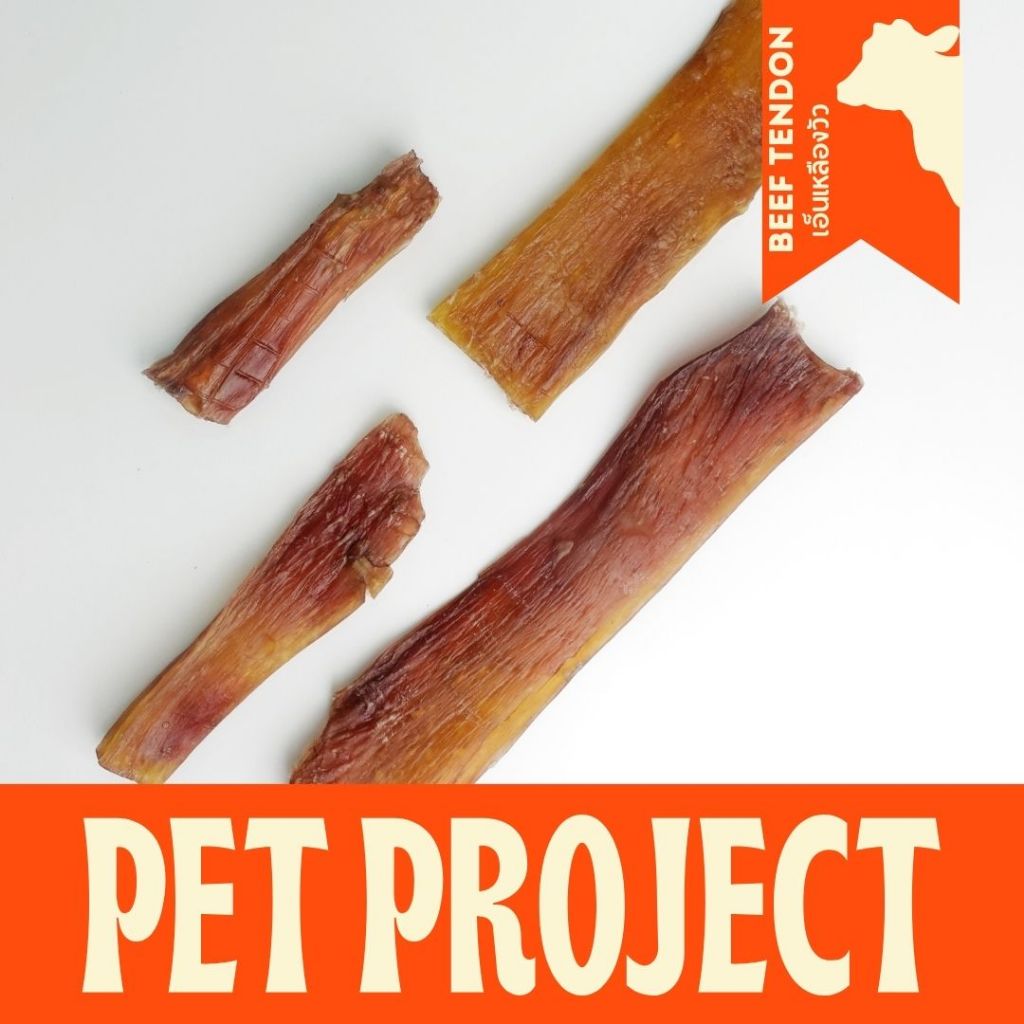 Pet Project Beef Backstrap เอ็นวัวอบแห้ง ขนมแทะสำหรับสุนัข ไม่มีสารปรุงแต่ง จากธรรมชาติ 100%