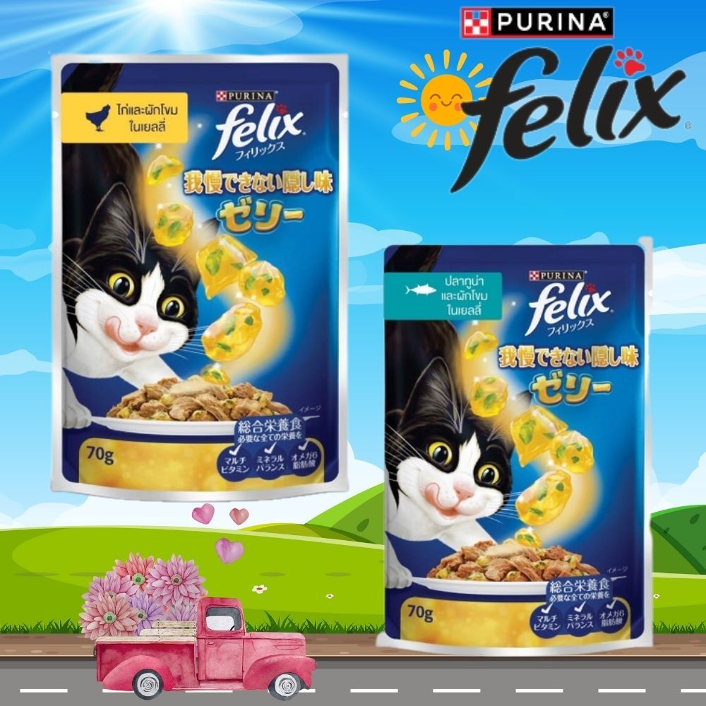 Felix เฟลิกซ์ อาหารแมวเปียก ขนาด 85 กรัม