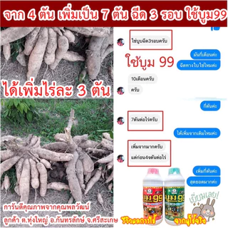 ปุ๋ยน้ำกระตุ้นผลผลิต บูม99 (ร้านใหม่) ขนาด 1 ลิตร แถมเสื้อ+ผงดำ ✨ส่งฟรีทุกชุด‼️